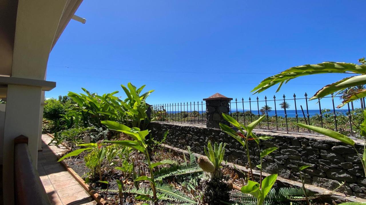 Apartamento Heliconia 2 Valle Gran Rey Buitenkant foto